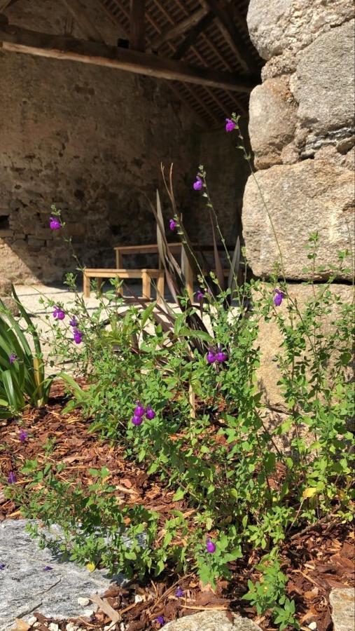 Chateau De La Garnison ออร์โวลต์ ภายนอก รูปภาพ